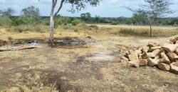 Malindi Affordable Land for sale