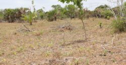 Diani Prime Holiday Home Plots for sale.