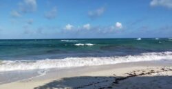 Bofa Platinum Beach Plots For Sale in Kilifi.