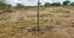 Prime Affordable Land For Sale in Malindi.