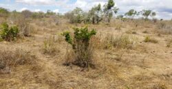 Prime Affordable Land For Sale in Malindi.