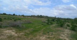 Affordable FarmLand For Sale in Malindi.