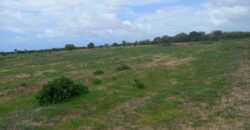 Affordable FarmLand For Sale in Malindi.