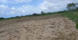 Affordable FarmLand For Sale in Malindi.