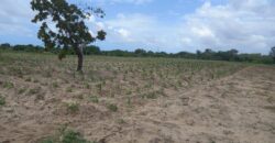 Affordable FarmLand For Sale in Malindi.