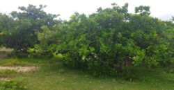 Prime Beach Land For Sale in Malindi