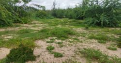 Prime Beach Land For Sale in Malindi