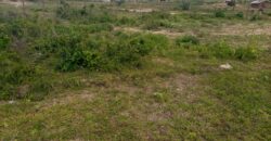 Mariakani Bypass plots for sale