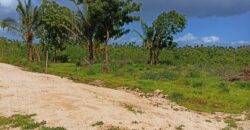 Prime Plots for sale in Kilifi