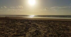 Ocean Breeze Beach Plots For sale in Malindi.