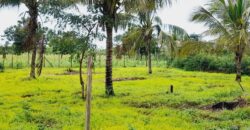 Residential Serviced Plots in Kilifi