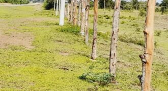 Affordable plots For sale in Mariakani