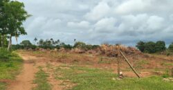 Kilifi Roka Chumani Plots for sale