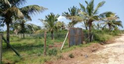 Kilifi Gardens Plots