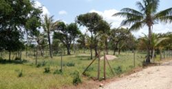 Kilifi Gardens Plots