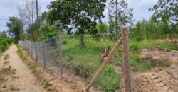 Kilifi Matsangoni Greens Plots For Sale.