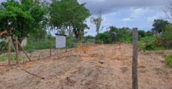 Kilifi Matsangoni Greens Plots For Sale.