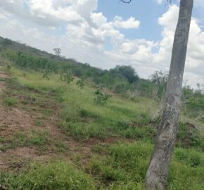 Land for sale Malindi.