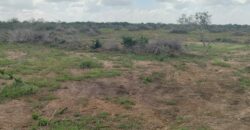 Affordable Farm Land for sale Malindi.
