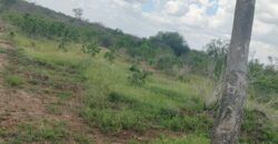 Affordable land for sale in Chakama area, Malindi.