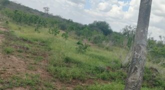 Affordable land for sale in Chakama area, Malindi.