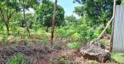 Affordable quarter acre land for sale in Kilifi