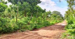 Affordable quarter acre land for sale in Kilifi