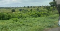 Affordable Fertile Land in Malindi