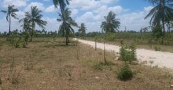 Prime Plots Near Pwani Univesity and Touching Kilifi Highway