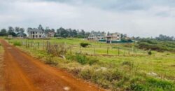 Serene Residential  Plots For Sale in Ruiru