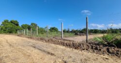 Affordable Prime Plots In Kwale Ukunda