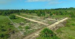 Affordable Prime Plots In Kwale Ukunda