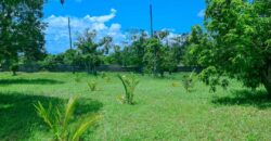Residential Prime 1 Acre Plots