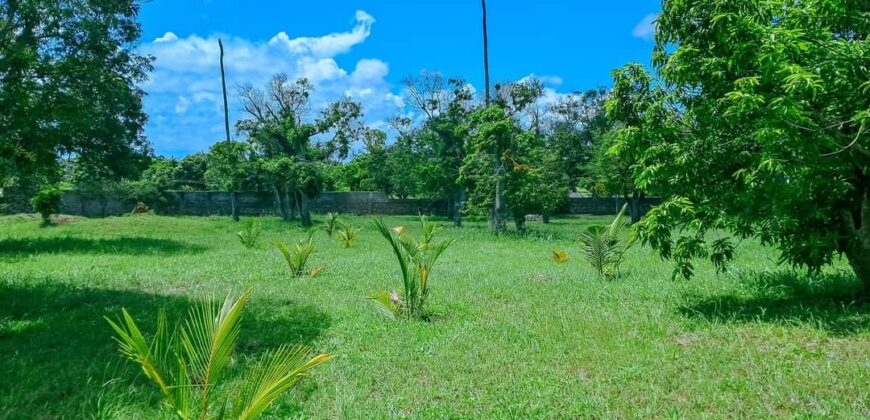 Residential Prime 1 Acre Plots