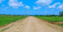 Prime Residential Plot Touching Tarmac in Malindi