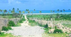 Jacaranda Beach Gardens Plots Watamu