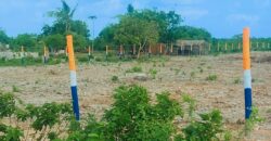 Jacaranda Beach Gardens Plots Watamu