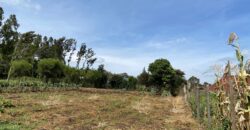 Prime 1/4 Acre Plot for Sale Near Ngong Town