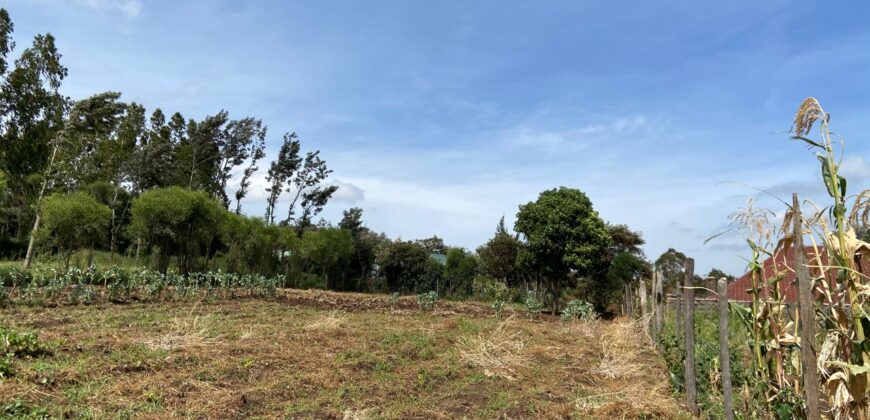 Prime 1/4 Acre Plot for Sale Near Ngong Town