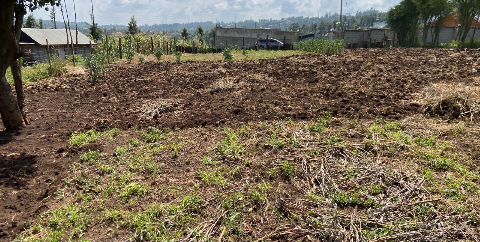 Prime 1/4 Acre Plot for Sale Near Ngong Town