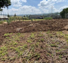 Prime 1/4 Acre Plot for Sale Near Ngong Town