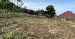 Prime 1/4 Acre Plot for Sale Near Ngong Town