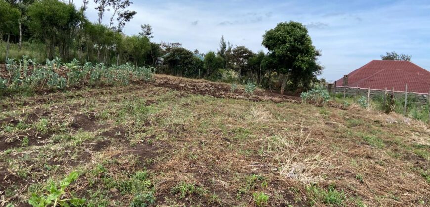 Prime 1/4 Acre Plot for Sale Near Ngong Town