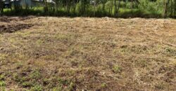 Prime 1/4 Acre Plot for Sale Near Ngong Town