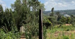 Prime 1/4 Acre Plot for Sale Near Ngong Town