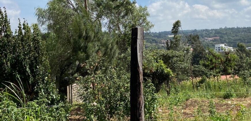 Prime 1/4 Acre Plot for Sale Near Ngong Town