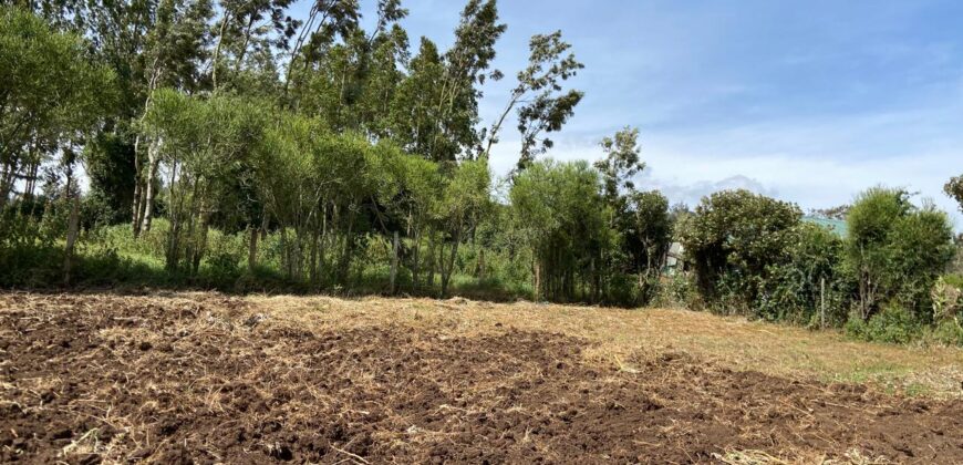 Prime 1/4 Acre Plot for Sale Near Ngong Town