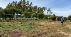 Prime 1/4 Acre Plot for Sale Near Ngong Town