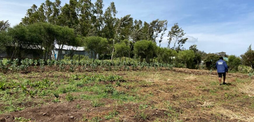 Prime 1/4 Acre Plot for Sale Near Ngong Town