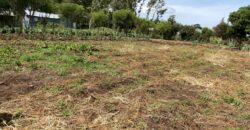 Prime 1/4 Acre Plot for Sale Near Ngong Town